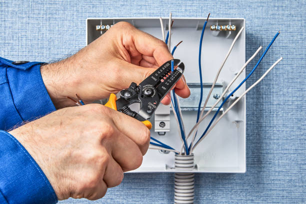 Best Electrical Panel Upgrades  in Portales, NM