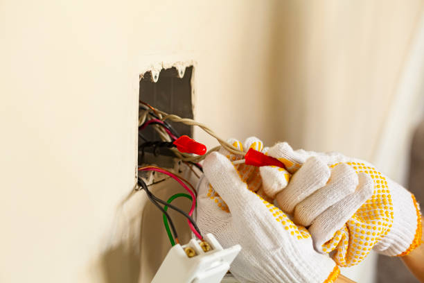 Best Electrical Maintenance Services  in Portales, NM